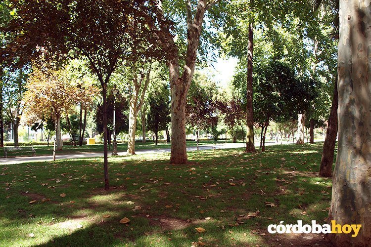 Parque Conde Vallellano 1