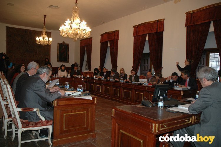 Pleno de la Diputación 17 de febrero 2016