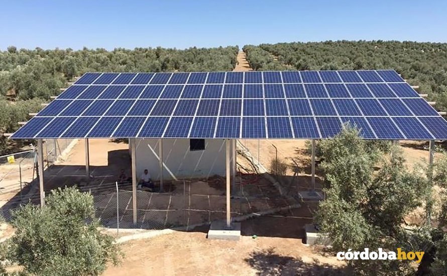 Placas solares en una explotación agraria cordobesa, en una imagen cogida de la web de SUR SOLAR