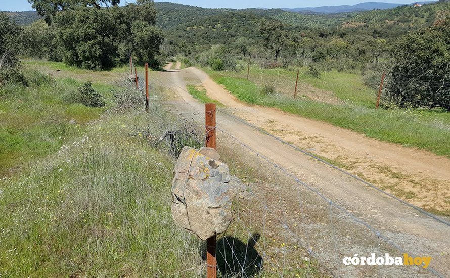 Camino rural de la Sierra de Córdoba 1