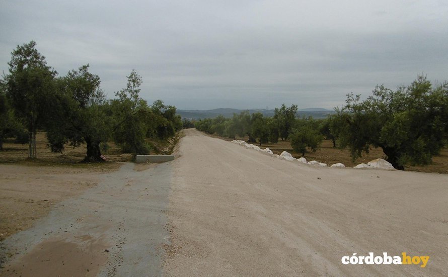 Obras de la Diputación en caminos rurales de Moriles