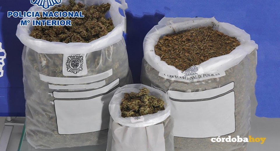 Marihuana incautada en Lucena por la Policía Nacional