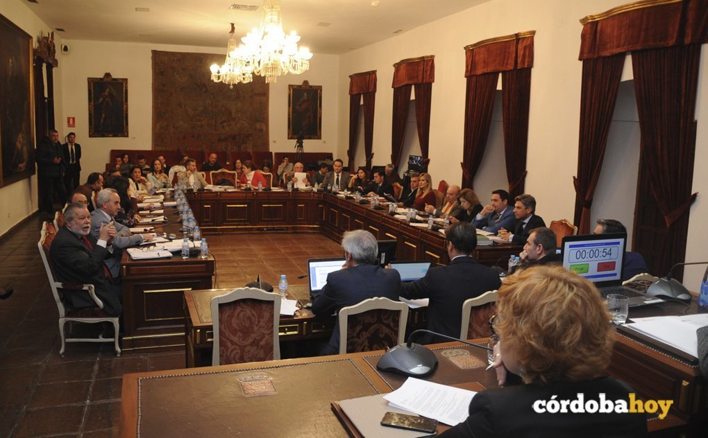 Pleno de la Diputación Provincial