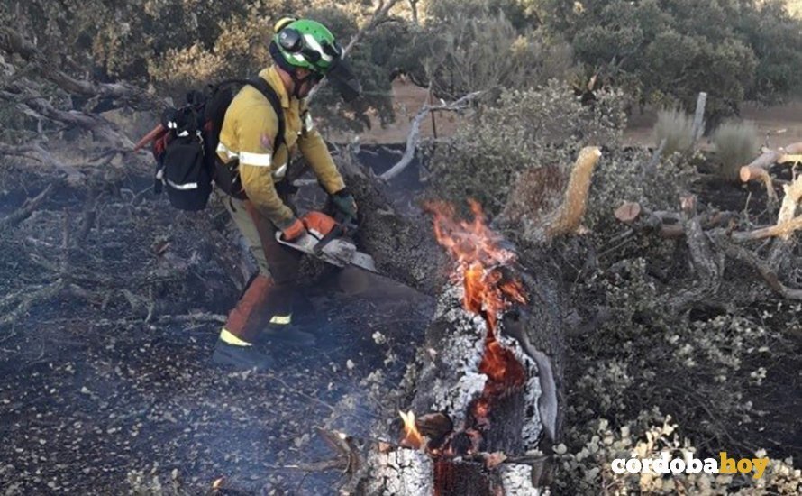 Trabajos en el incendio de Villaviciosa de 2019