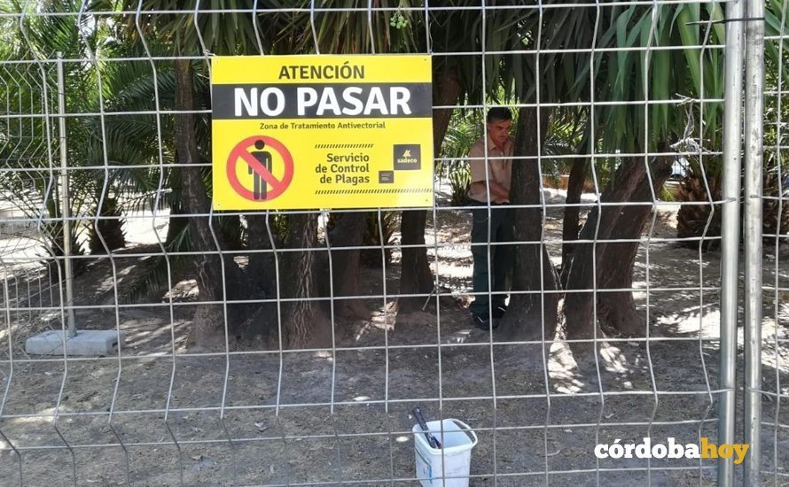 Tratamiento anti-ratas en Colón