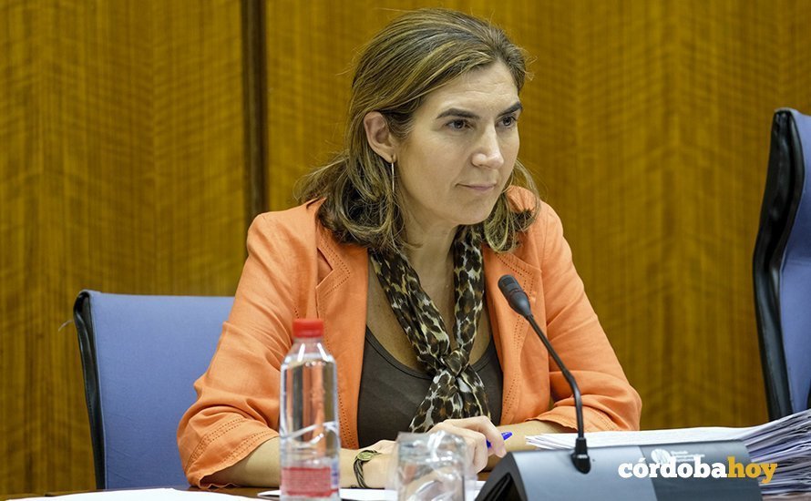 La consejera Rocío Blanco en el Parlamento andaluz