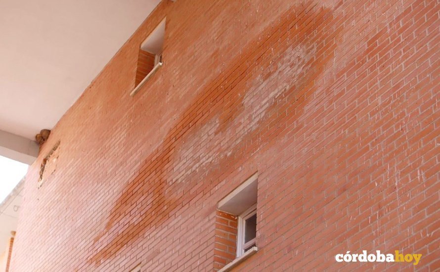 Ladrillos reblandecidos por la humedad en las fachadas de Las Moreras