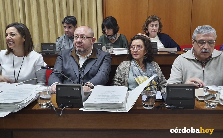 Bancada del PSOE e IU en el Pleno