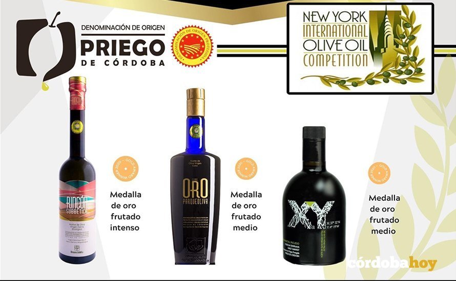 Los aceites de Priego de Córdoba premiados en Nueva York