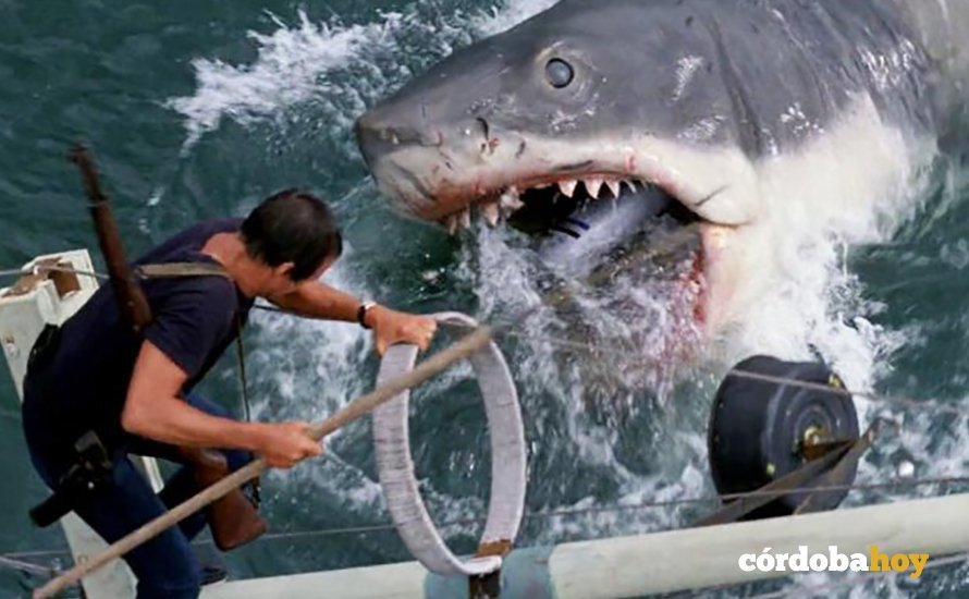 Fotrograma de la película Tiburón, de Steven Spielberg