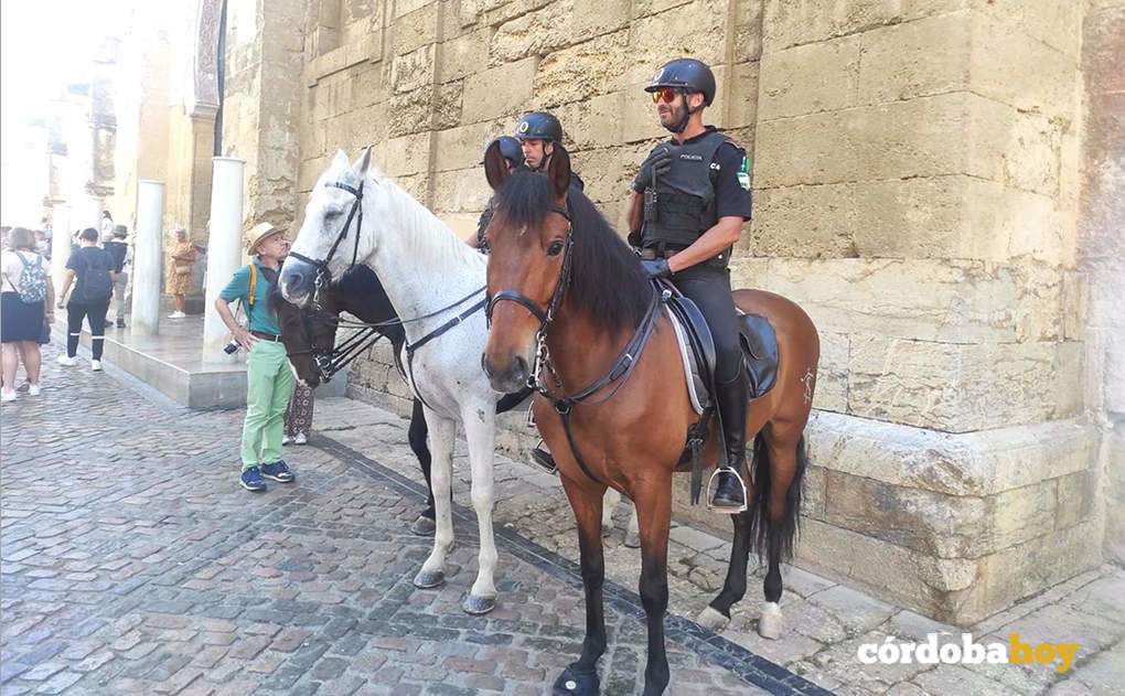 Policía Local a caballo en la Mezquita