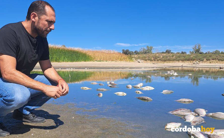 Sebastián Pérez contempla los peces muertos en el pantano de La Colada