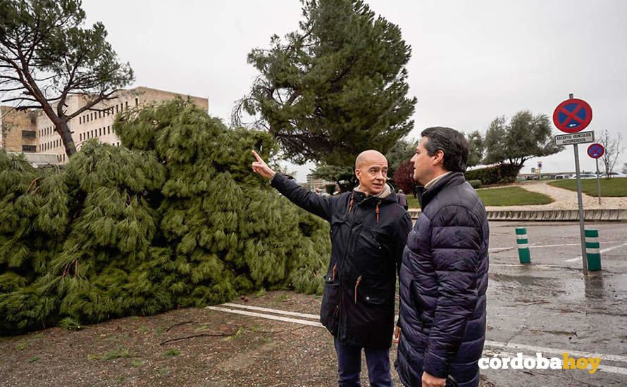 Francisco Triviño y José María Bellido contemplan los daños del temporal en el Reina Sofía