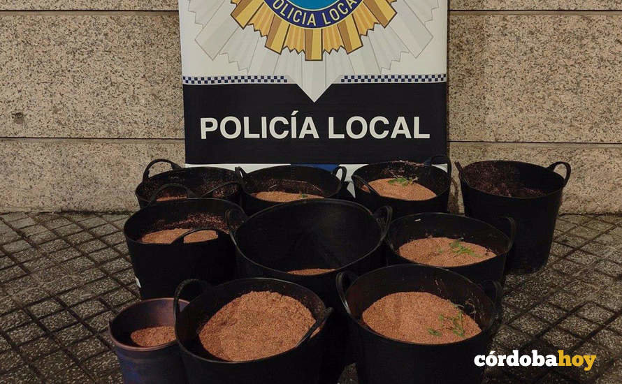 Los 510 kilos de polvo de cobre intervenidos por la Policía Local tras el robo en el Parque Joyero de Córdoba