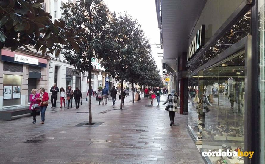 Comercios en el centro de Córdoba, en una imagen de archivo