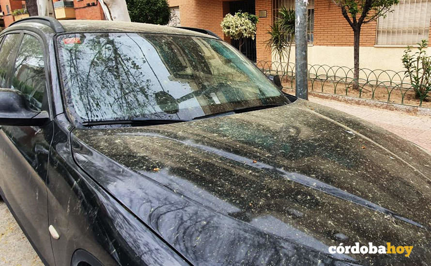 Vehículo estacionado en una calle de Córdoba totalmente cubierto de polen
