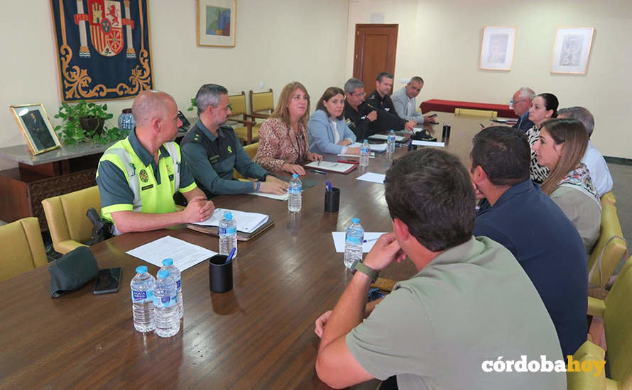 Imagen del encuentro que ha presidido la subdelegada del Gobierno de Córdoba, Ana López, para la coordinación de la peregrinación a la aldea del Rocío