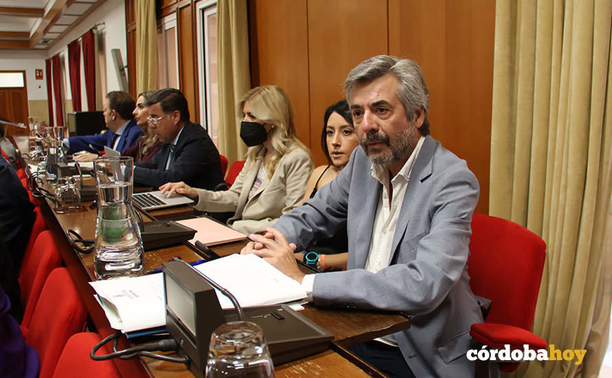 El presidente de Vimcorsa, en el Pleno FOTO RAFA MELLADO SENIOR