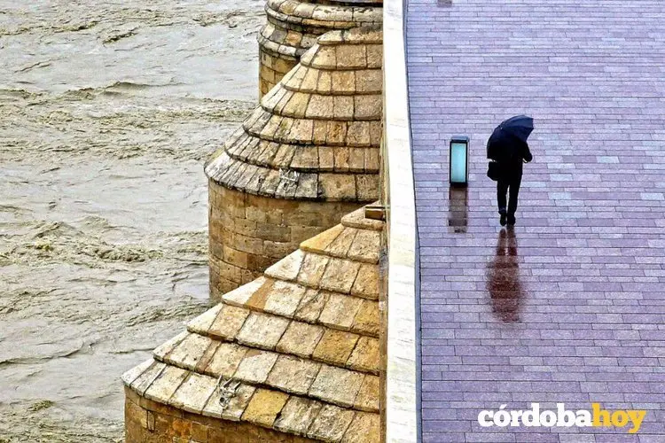 Puente Romano sobre el r&iacute;o Guadalquivir con lluvia, en una imagen de archivo