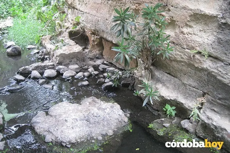 Los Encinares 2