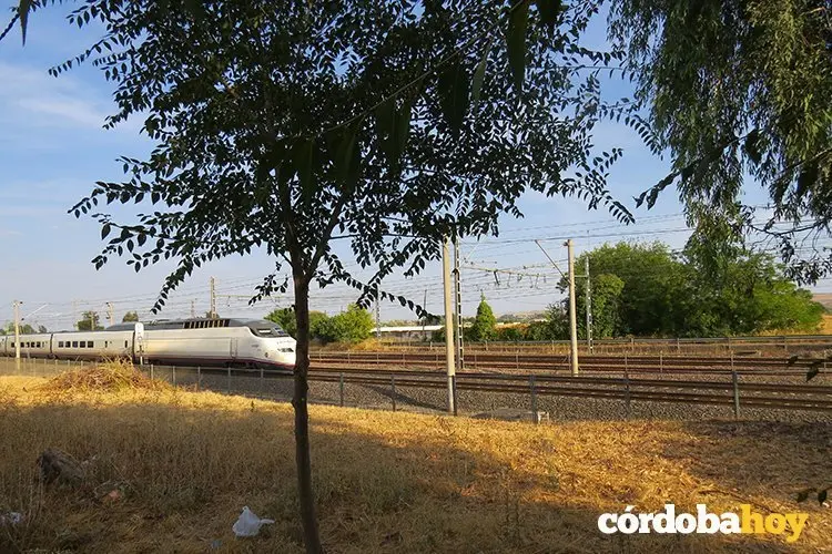 Tren villarubia