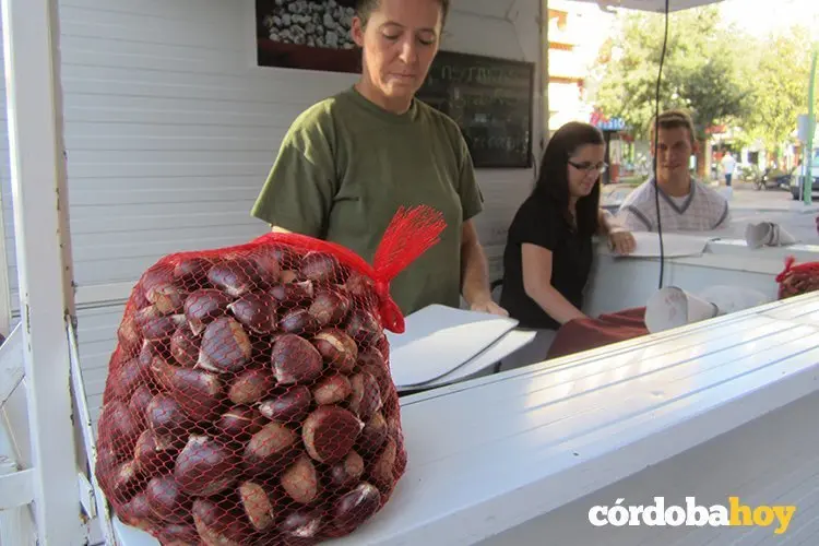 Puesto de casta&ntilde;as en C&oacute;rdoba