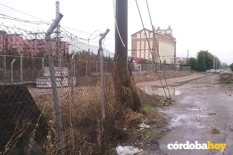 'Tac&oacute;n' de los Olivos Borrachos