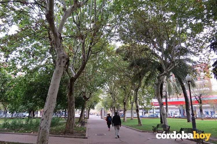 Arboles