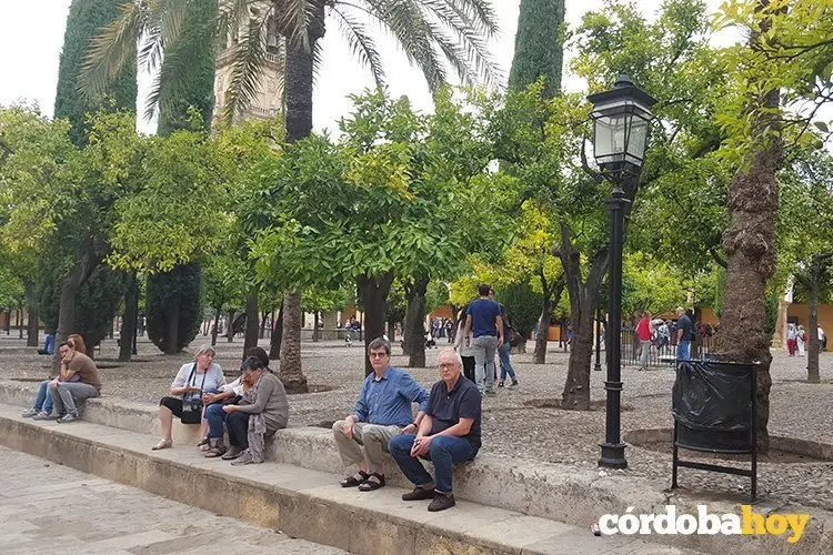 Turistas mezquita