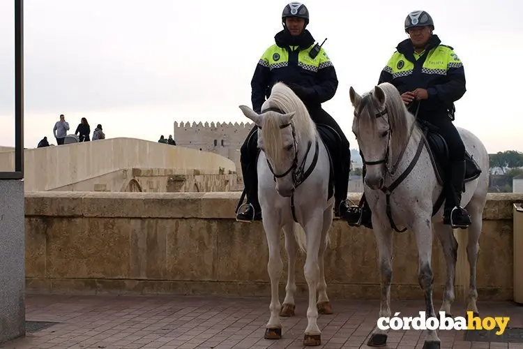 Caballos Polic&iacute;a Local 2