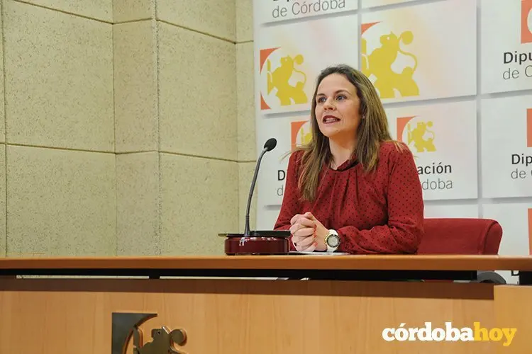 Diputaci&oacute;n consumo