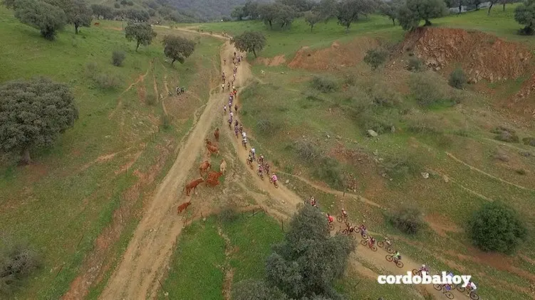 Vista aeria