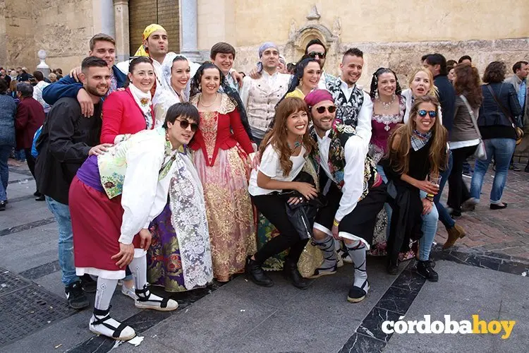 Fallas 15