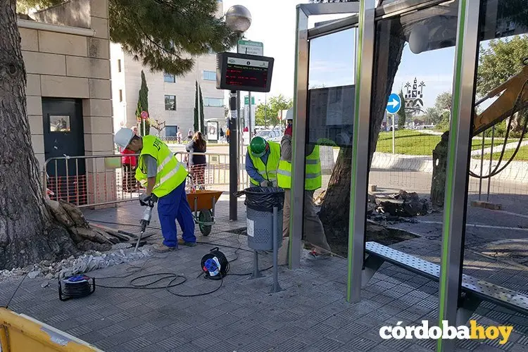 obras marquesina aucorsa