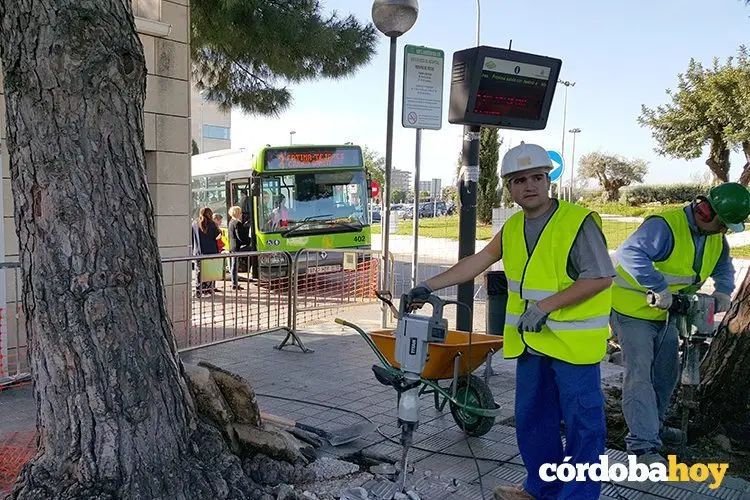aucorsa obras marquesina