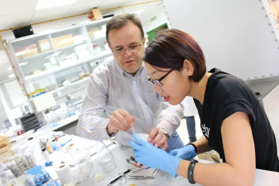 investigaci&oacute;n