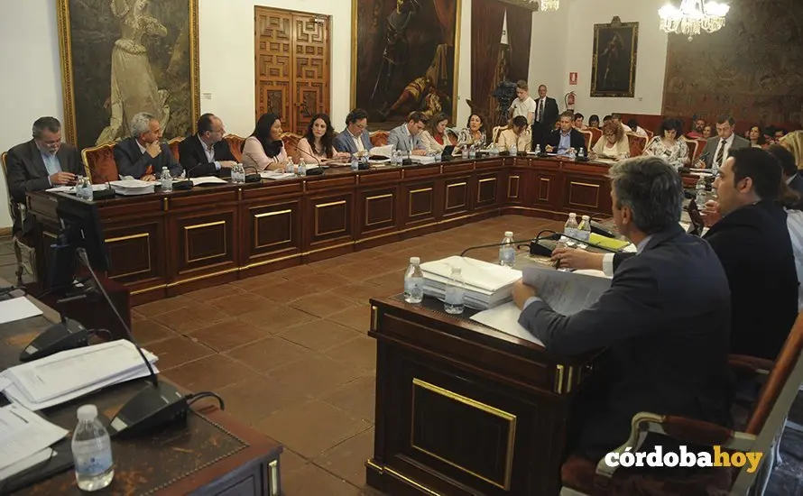 Pleno Diputaci&oacute;n mayo 2