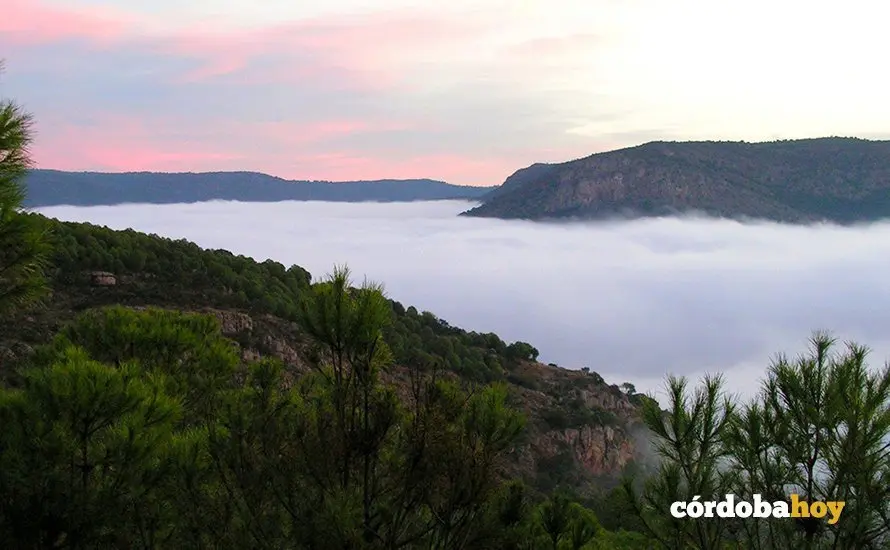 Parque Natural de Carde&ntilde;a y Montoro, en una imagen de archivo