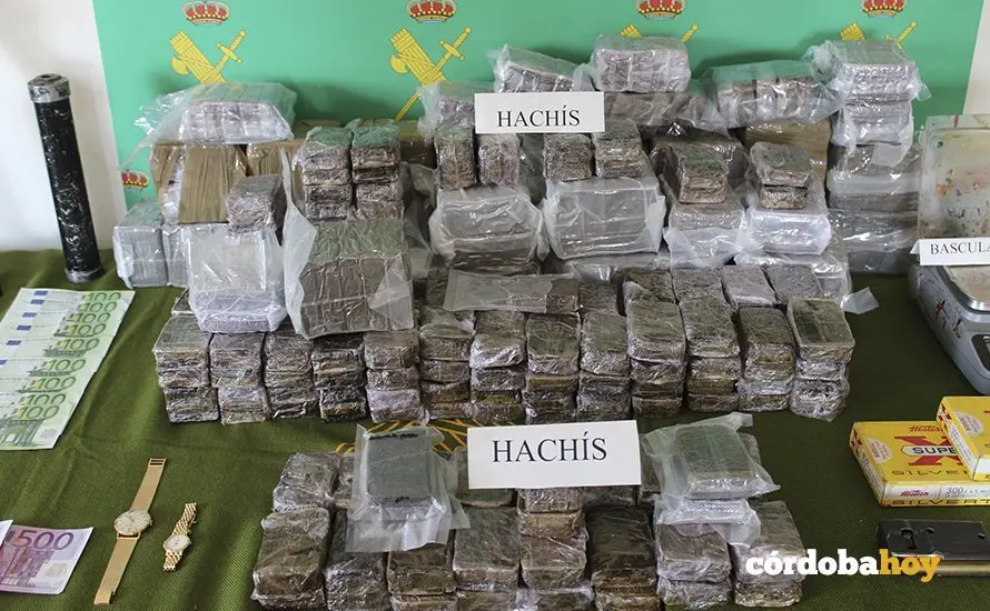 hachis2