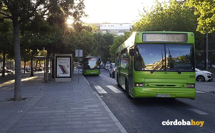 bus rabanales