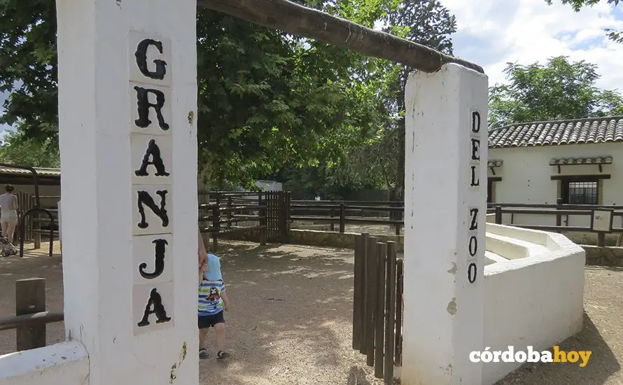 ZOO 16