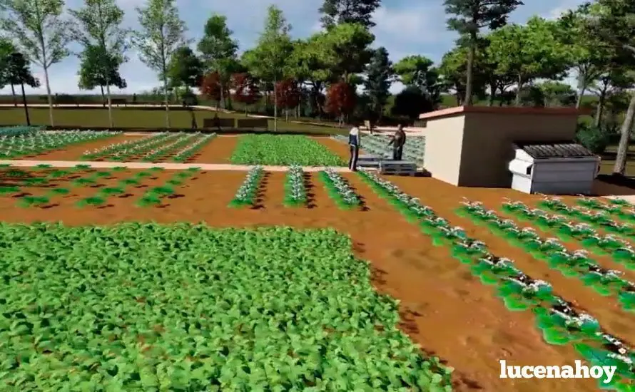 Lucena Verde registra en el Ayuntamiento el anteproyecto y plan de viabilidad del parque urbano en El Zarpazo
