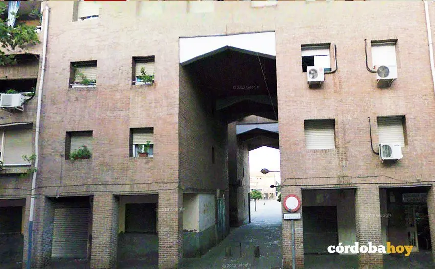 Las Palmeras 1