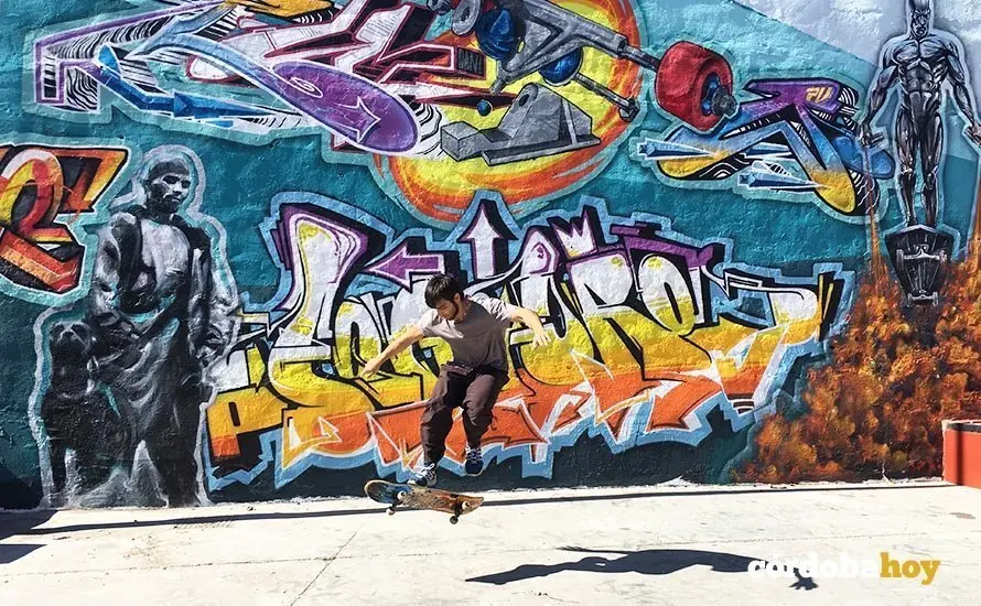 skater park ca&ntilde;ero