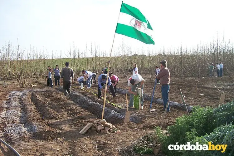 sindicato andaluz del campo