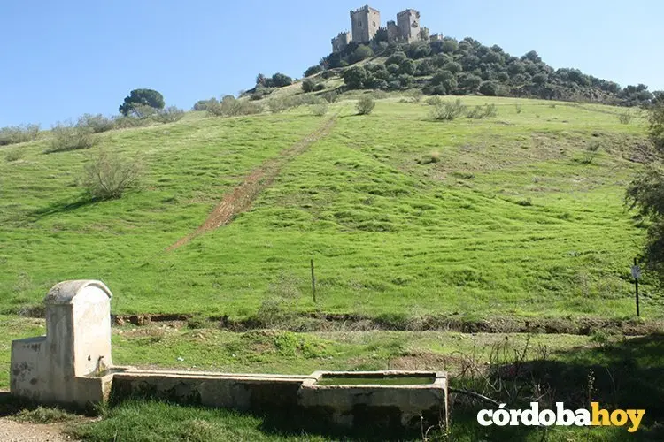 fuente del castillo almod&oacute;var