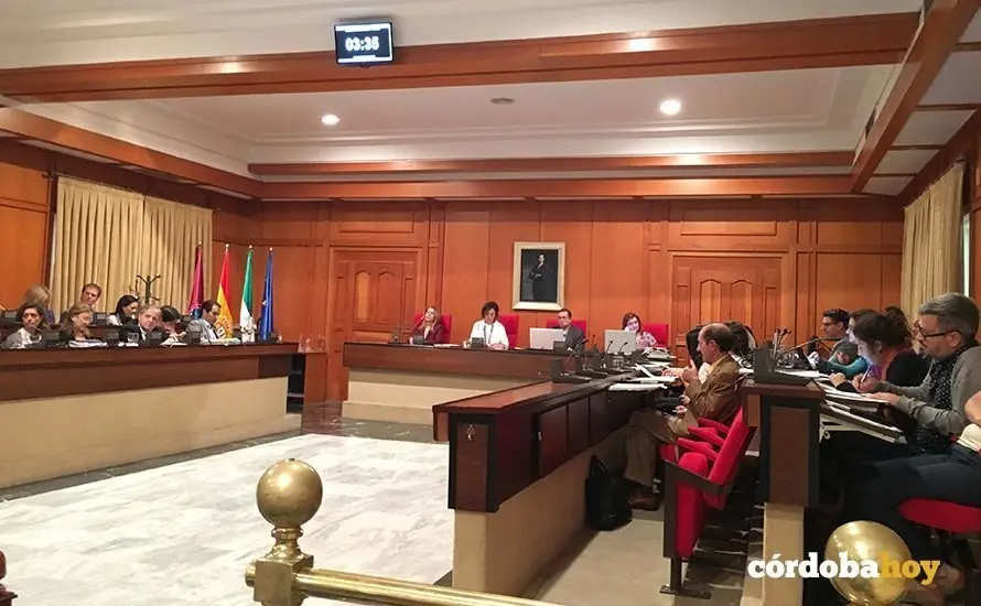 pleno ordenanzas noviembre 2