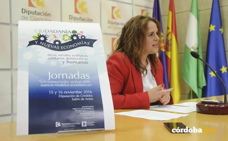 Jornadas Consumidor Diputaci&oacute;n