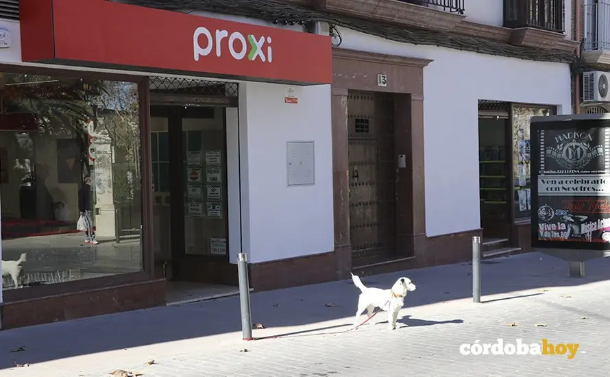 proxi lucena2