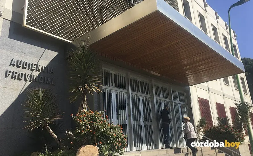 audiencia provincial juzgado 2
